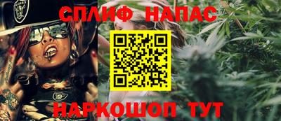 крисы Краснодар