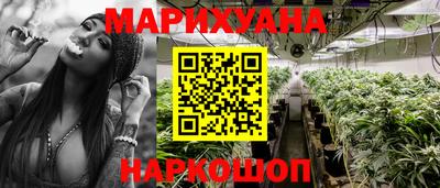крисы Краснодар