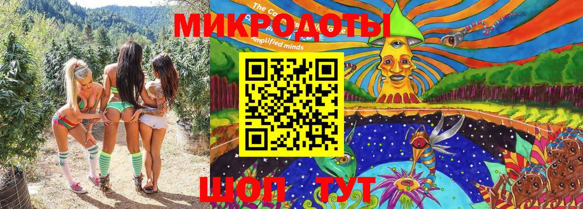 Гусев  Псилоцибиновые грибы мицелий  Вход с VPN 